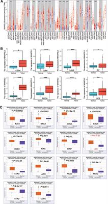 Prognostic value and immunological role of BAIAP2L2 in liver hepatocellular carcinoma: A pan-cancer analysis